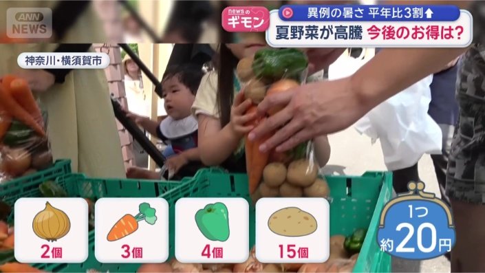 24個の野菜をゲット