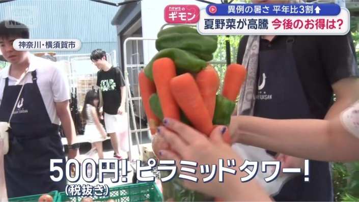 大量の野菜を獲得
