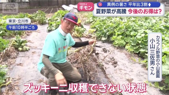 「引き抜いて秋の準備した方が早い」