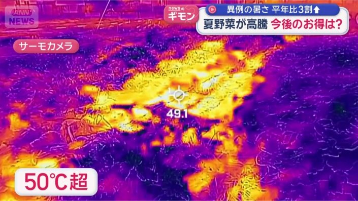 地表の温度