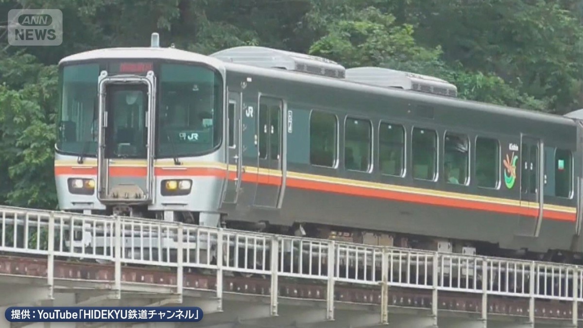 暑さで連日運転見合わせ…大都市圏では起きづらい？「レール」に秘密