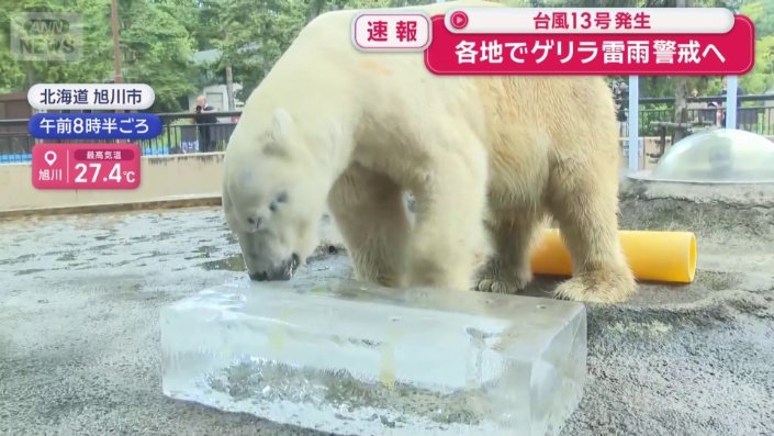 氷のプレゼント