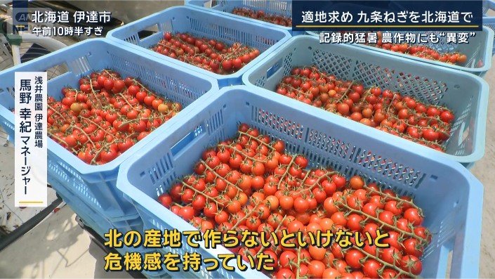 トマト