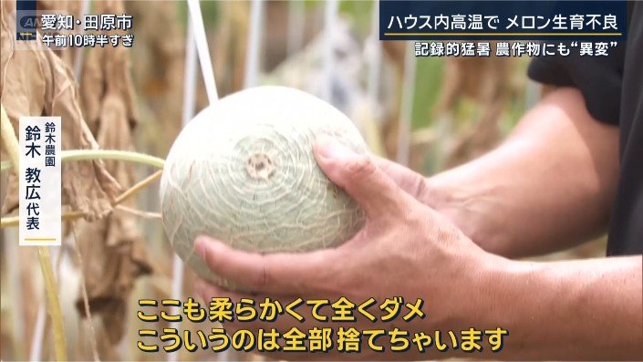 メロン