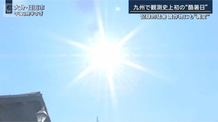 大分暑さ