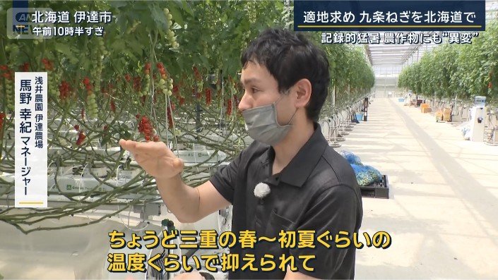 トマト