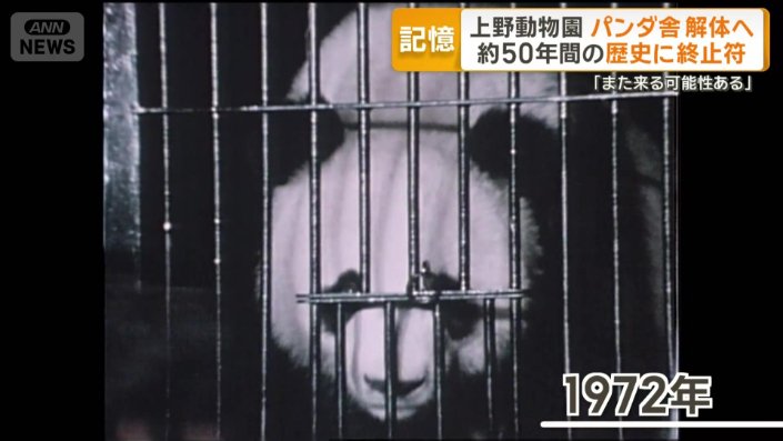 1972年に初めてやってきたパンダ