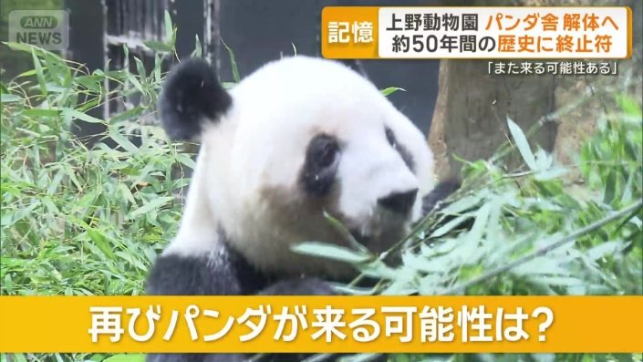 再びパンダが来る可能性は?