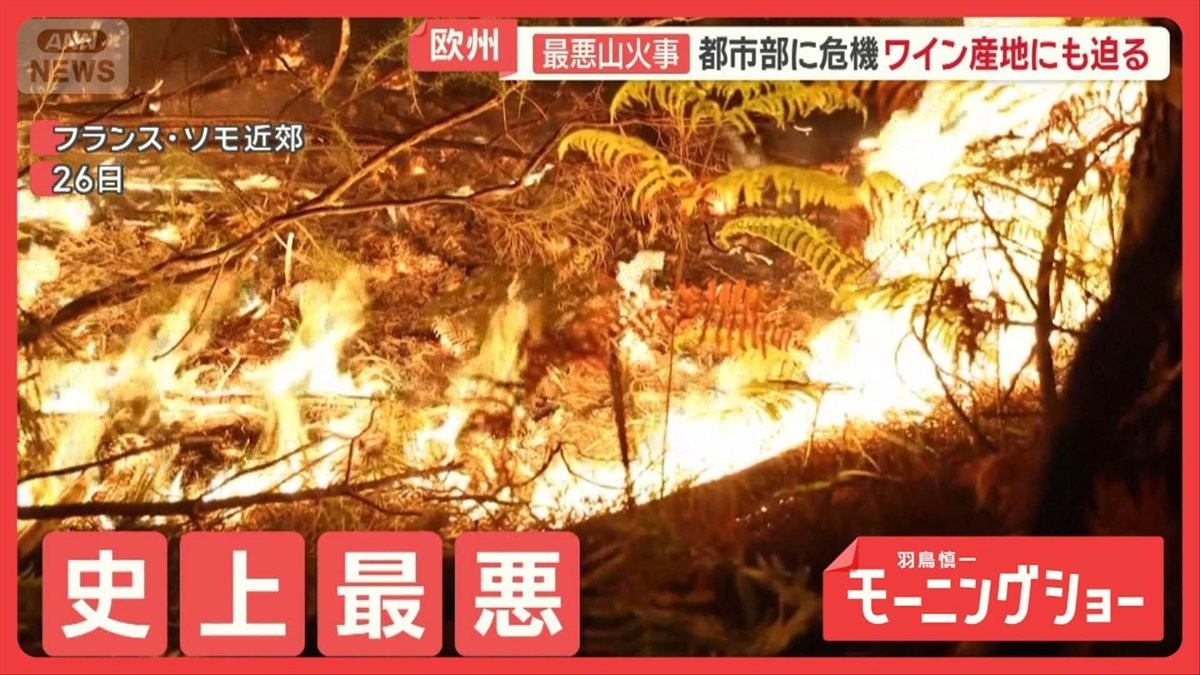 欧州で史上最悪の山火事　中国にハイペース台風　世界で被害続出　異常気象なぜ？