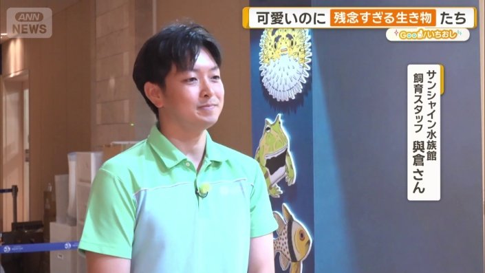 サンシャイン水族館　飼育スタッフ　與倉陵太さん