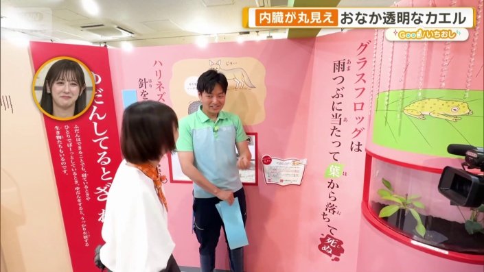 雨粒が葉に当たった衝撃で落下し死ぬことも