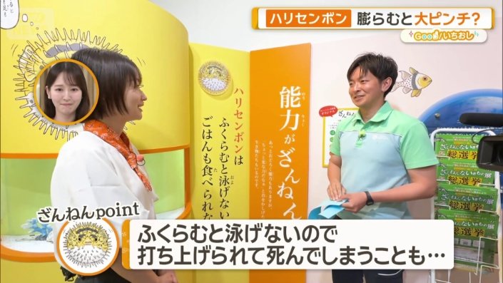 ハリセンボンのざんねんポイント