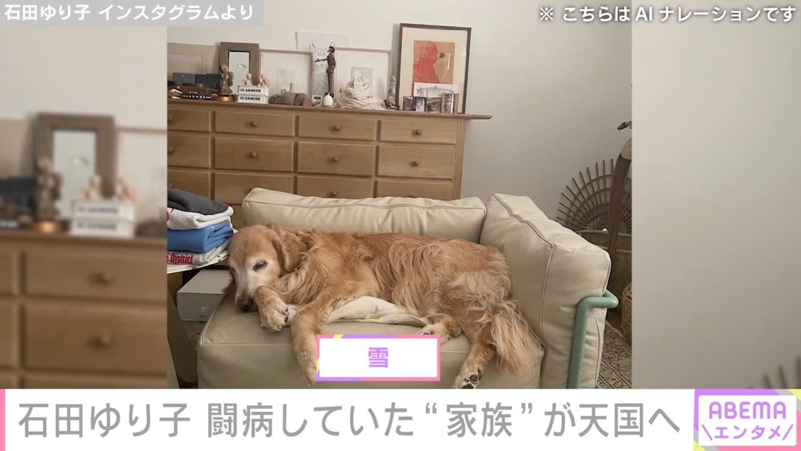 石田ゆり子 Instagramより