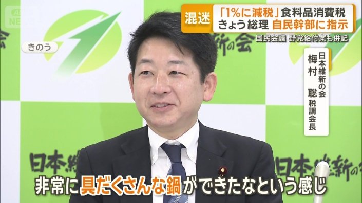 日本維新の会　梅村聡税調会長