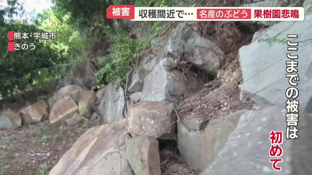 ここまで大きな被害を受けたのは初めて