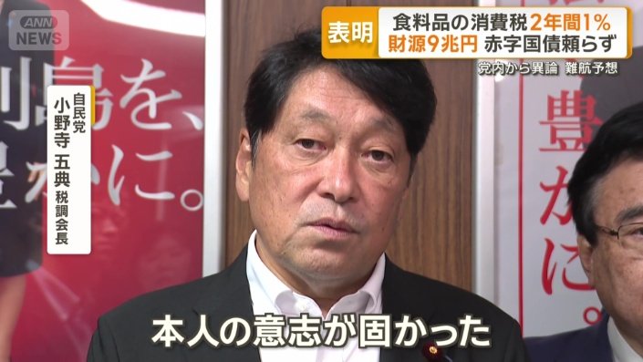 小野寺五典税調会長