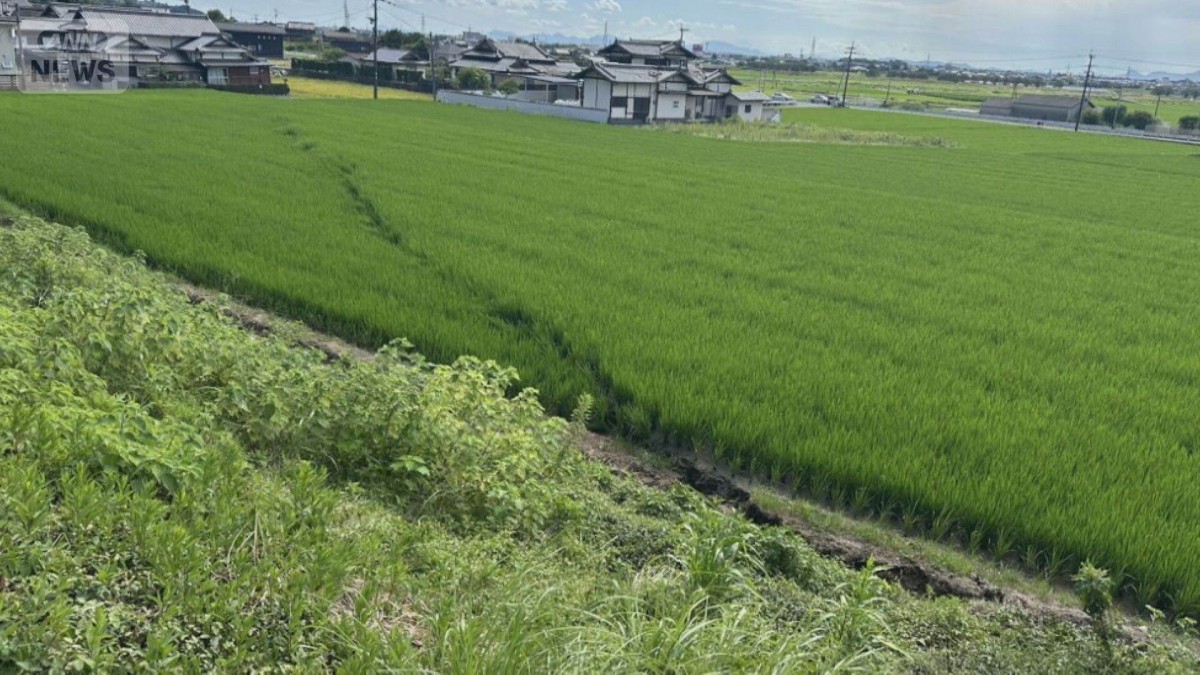 熊本地震で断層沿いに地割れ　「地下水都市」液状化被害拡大の恐れ　専門家が調査