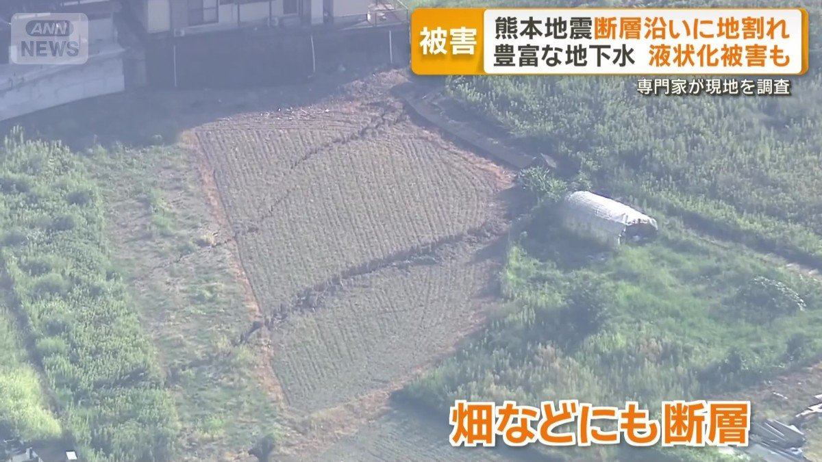畑などにも断層