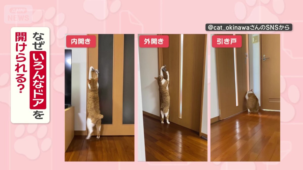 なぜいろんなドアを開けられる？