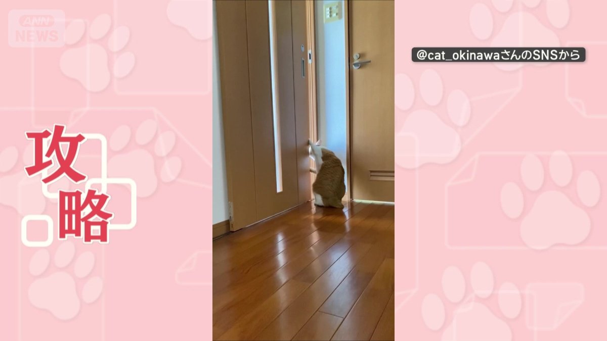 引き戸も攻略