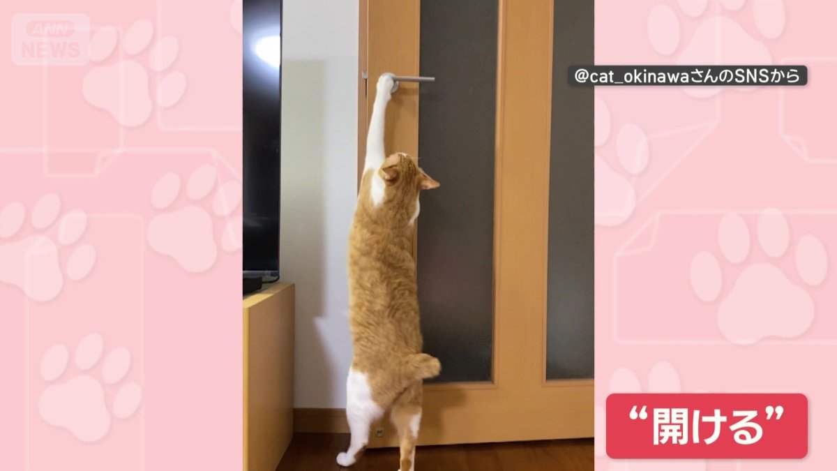 ドアノブをつかんで開ける