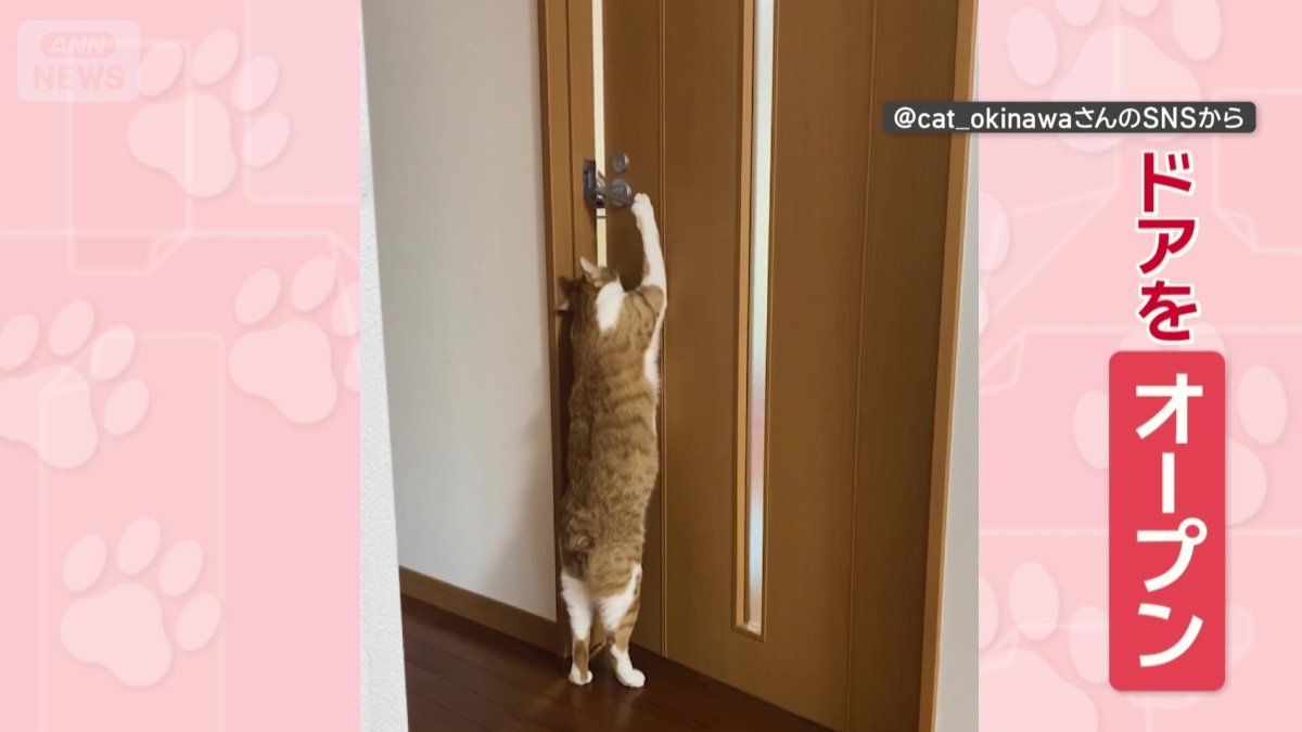 別のドアもオープン！