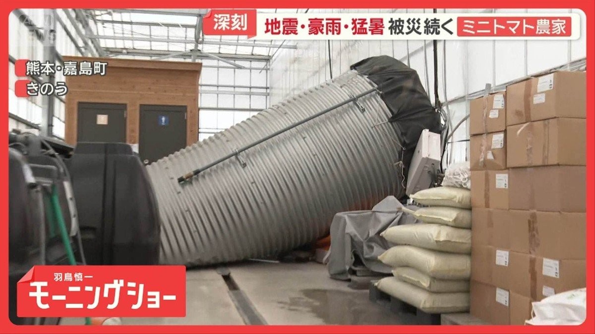 地震・豪雨・猛暑…被災続く熊本ミニトマト農家　飲食店も被害　避難所不足で車中泊も