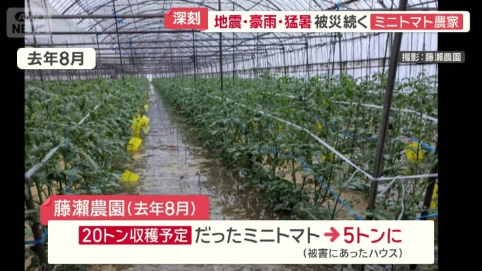 大雨でハウスが浸水