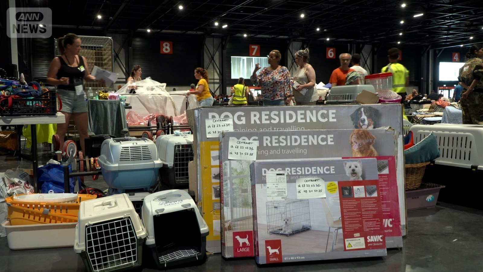 無償で提供されるペット用品 仏ボルドーの避難所 2026年7月28日