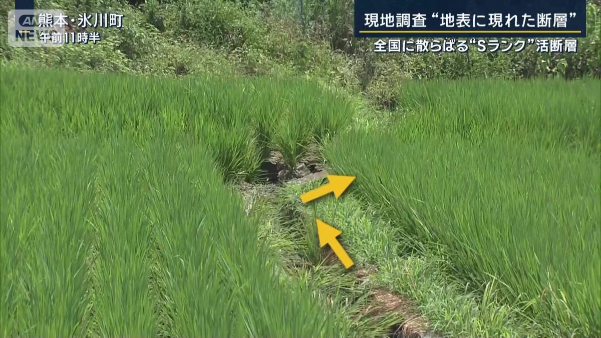 隆起