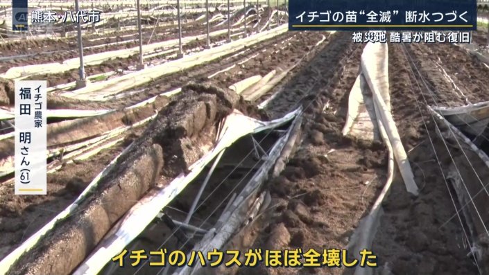 イチゴ農家 福田明さん