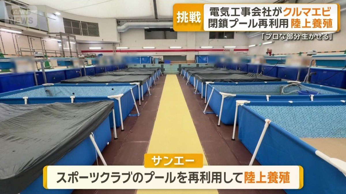 プールを再利用して陸上養殖