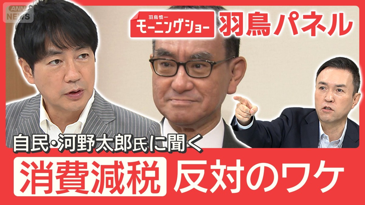 消費税減税 閣議決定へ 自民党内で割れた賛否 河野太郎氏に聞く『反対』のワケ