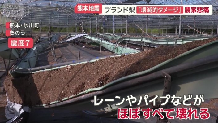 イチゴやブドウを育てている農園