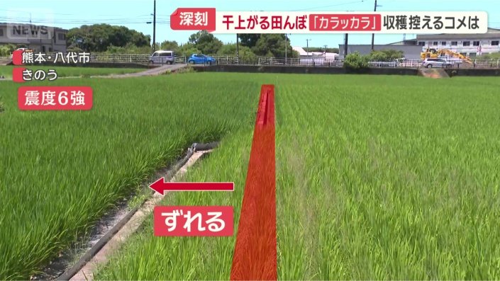 一直線のコンクリートの畦が…