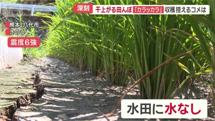 ひびが入っている