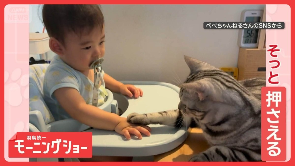 「机たたいちゃダメにゃん」　赤ちゃんに指導するネコ先生　マナーを教えているの？