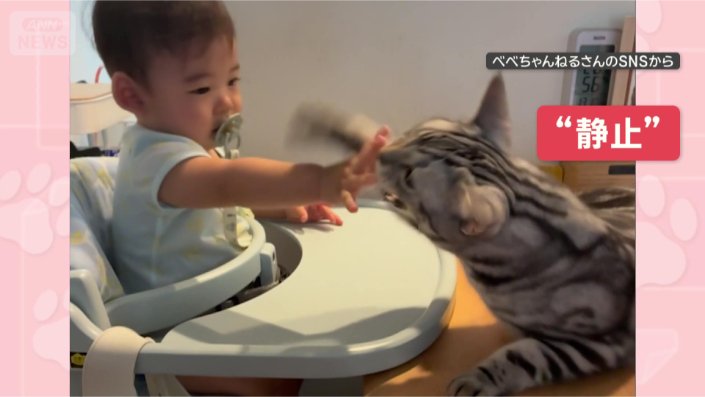 たたいちゃダメ！！