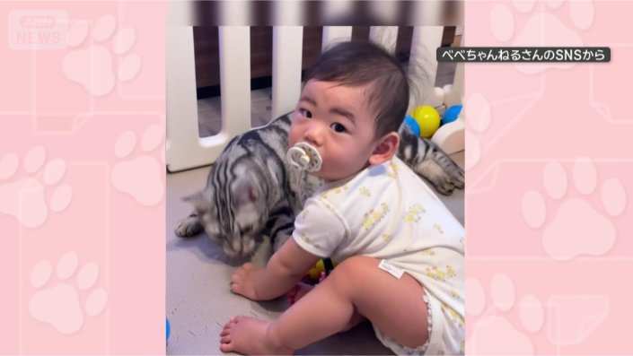 とても仲良し