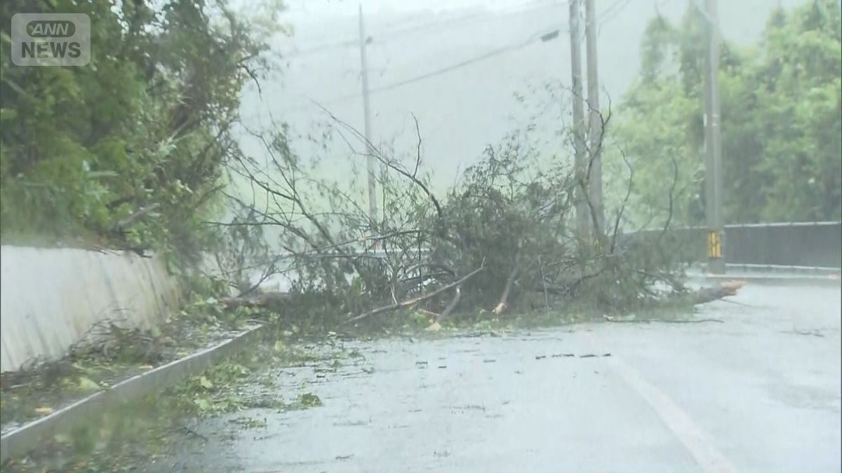 お盆休み前に“ダブル台風”沖縄で最大瞬間風速42m　15号は東北などを直撃か
