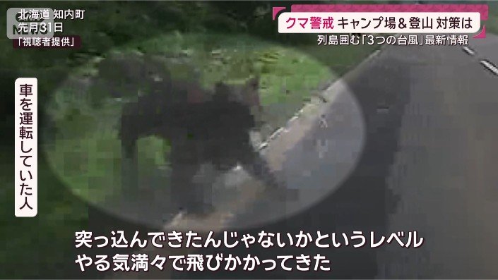 車を運転していた人