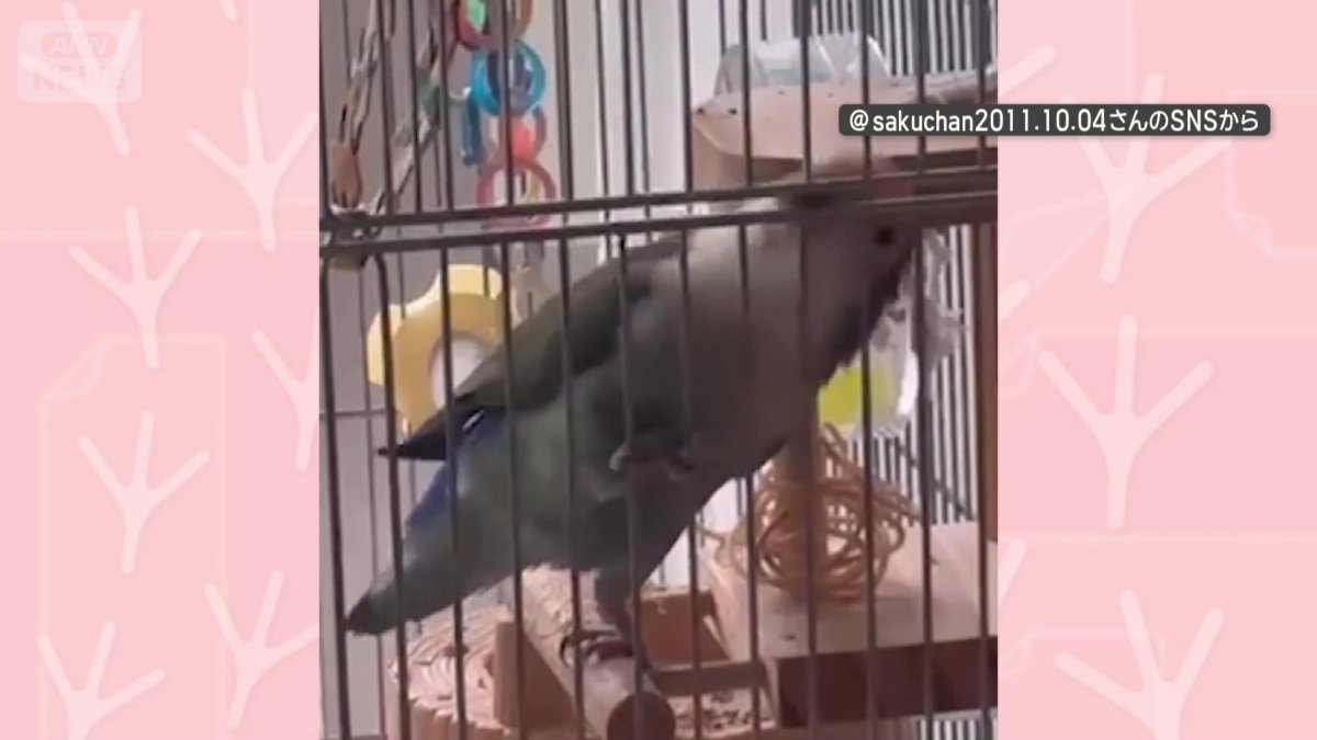 体を大きく上下…まるでロックスター!