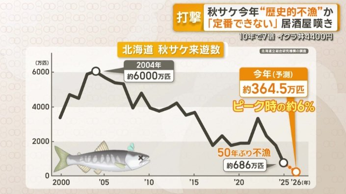 北海道　秋サケ来遊数