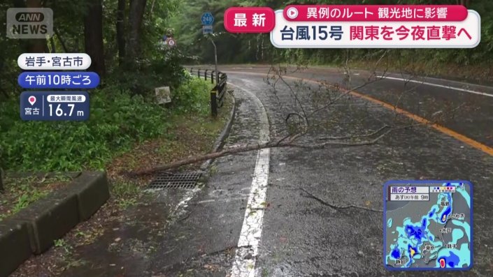 木が倒れ道路をふさぐ被害も