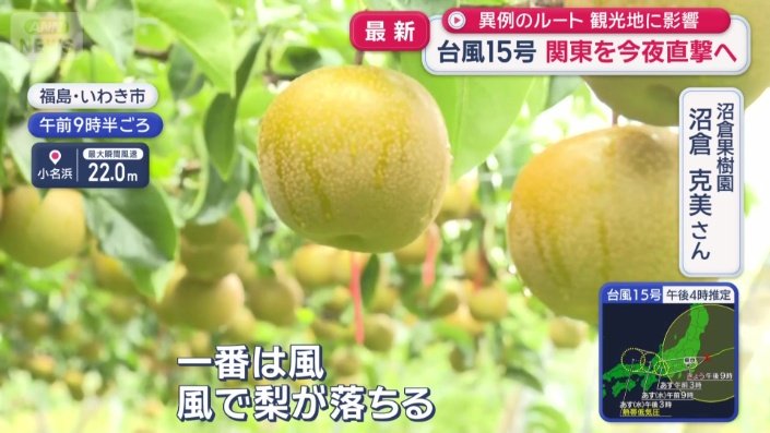対応に追われる市内の梨園