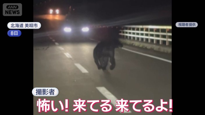 クマは撮影者のほうへ