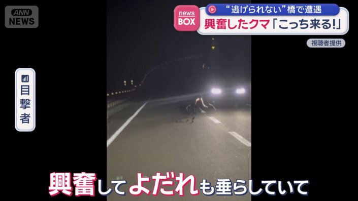 よだれを垂らすクマ
