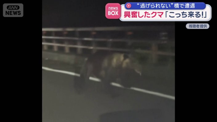 道路脇の森に立ち去って行ったという