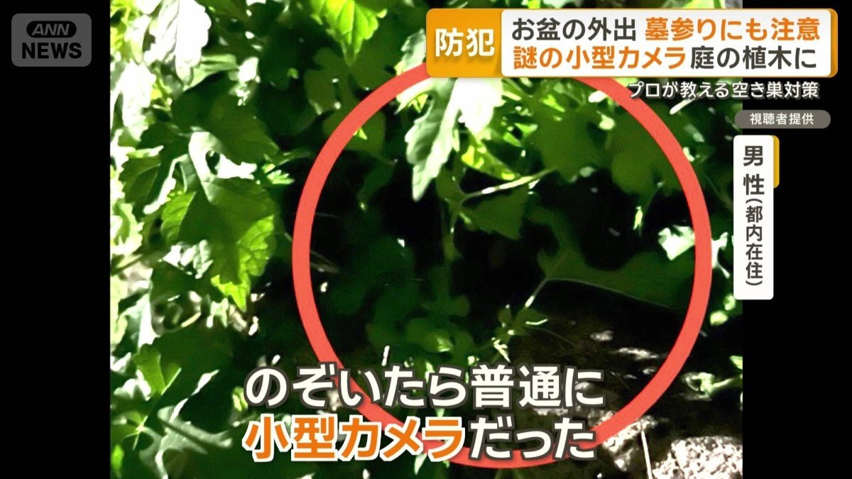 自宅庭で植木に隠れるよう置かれた小型カメラ