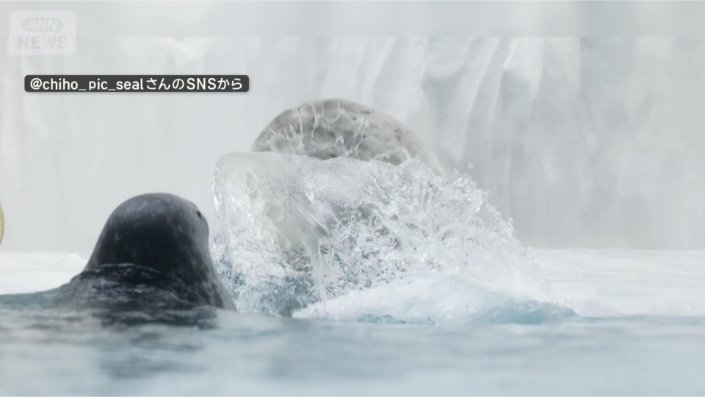 水バシャー！